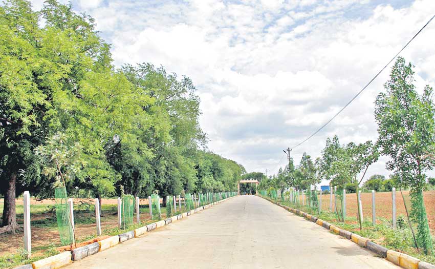 అందాల చందన్‌వెళ్లి