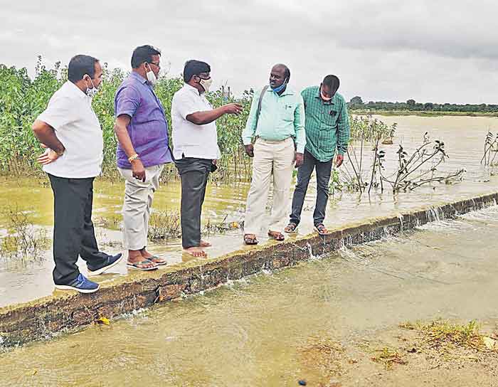 సర్వే చేసి హద్దులు నిర్ణయిస్తాం