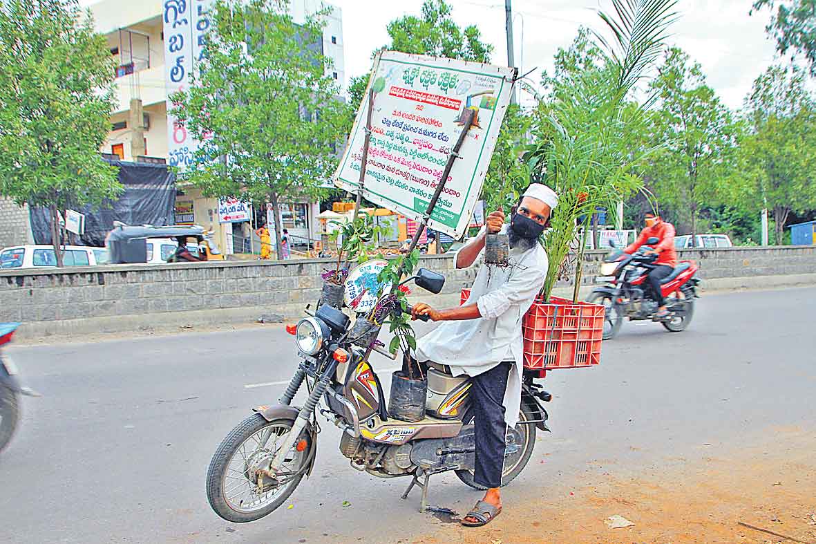 నేటినుంచి హరితోత్సవం