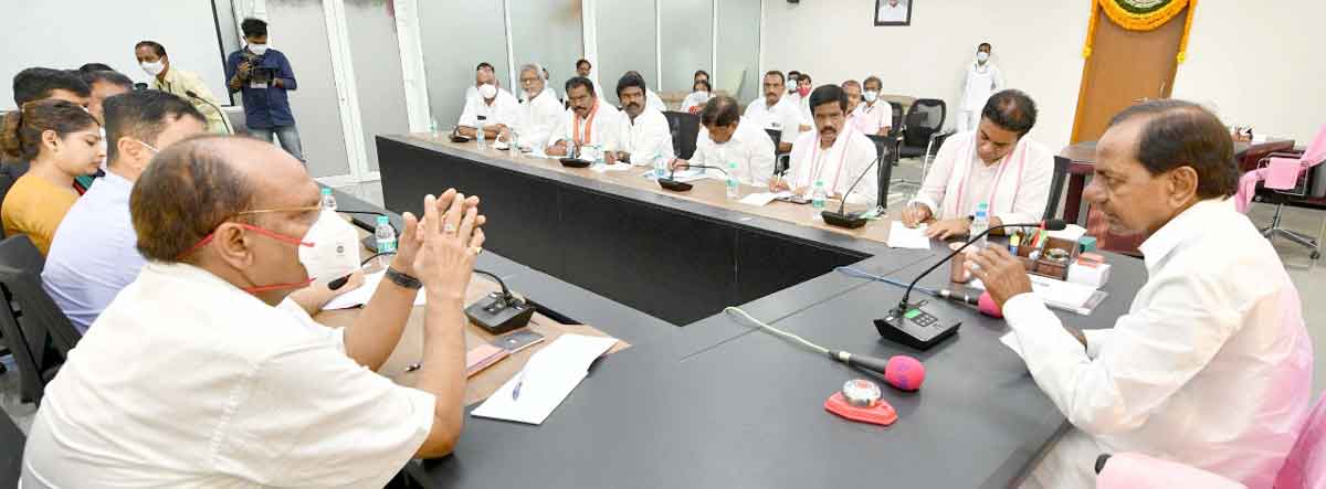 సమగ్ర నివేదికలు సిద్ధం చేయండి