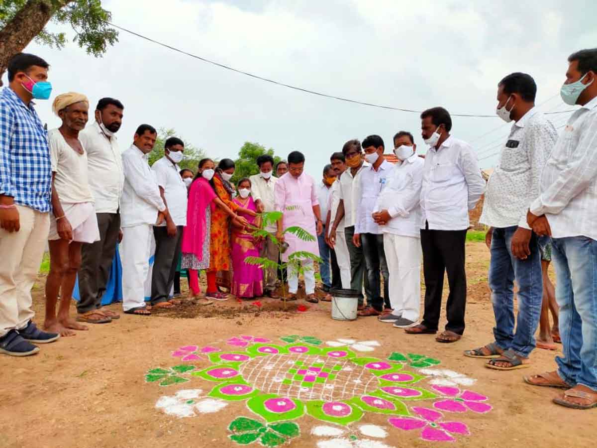 ప్రతి మొక్క ఎంతో విలువైంది..