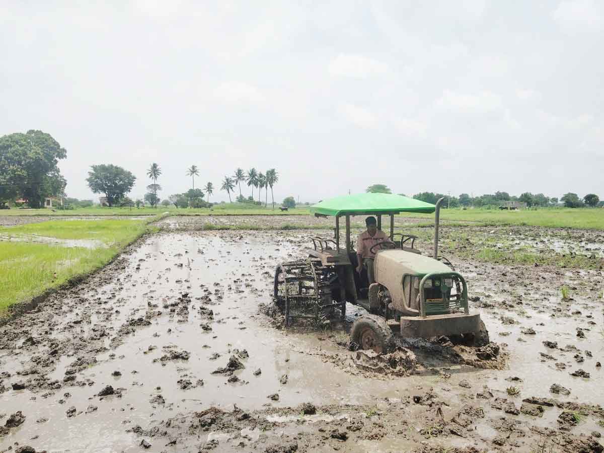 వ్యవసాయ పనుల్లో రైతన్నలు బిజీ
