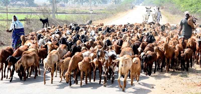 రెండో విడుతకు రెడీ