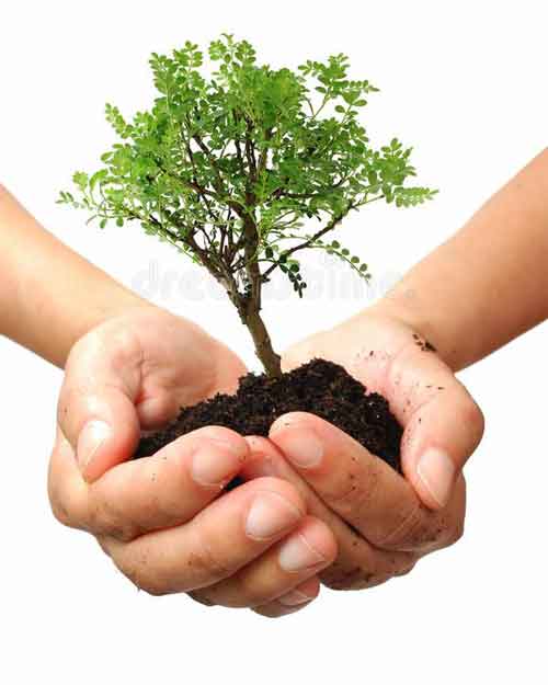 ఒకే రోజు.. ఒకే గంటలో..