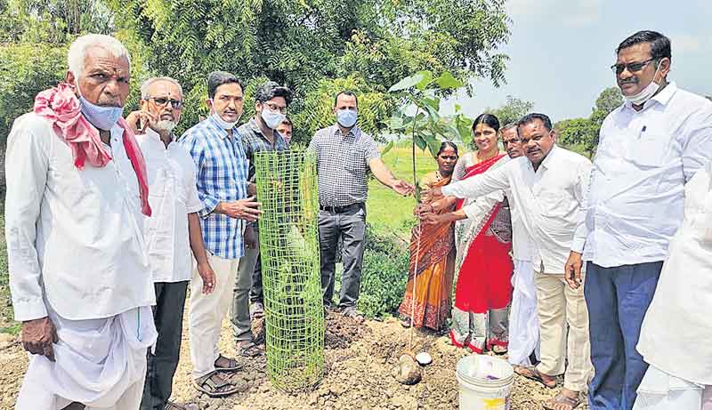 పల్లె ప్రగతితో గ్రామాల్లో వికాసం