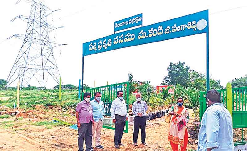 నాటిన ప్రతి మొక్కనూ సంరక్షించాలి