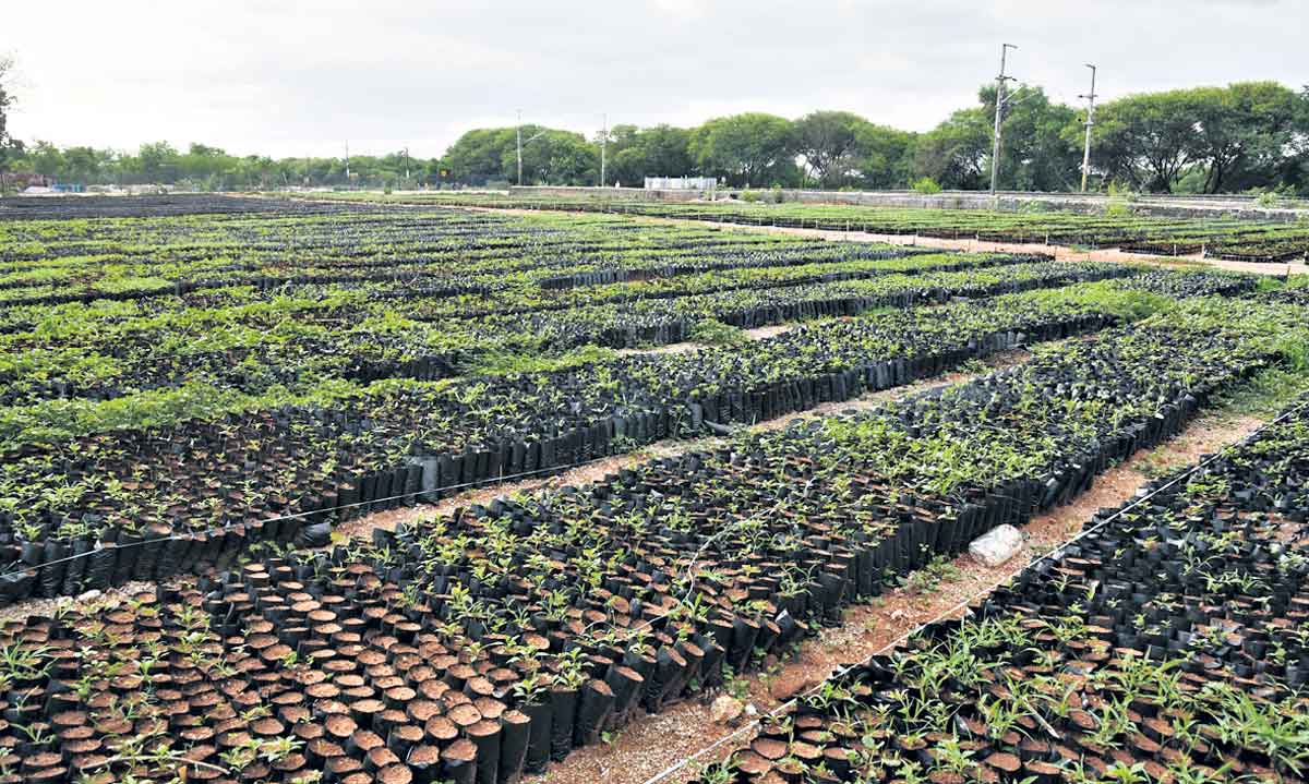 మార్పు తెచ్చి.. మార్కు చూపుతాం..