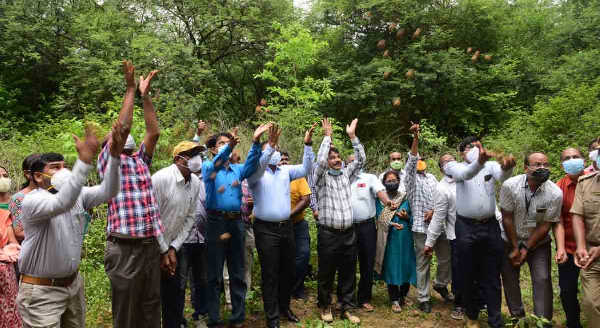 మహబూబ్‌నగర్‌లో హరితయజ్ఞం