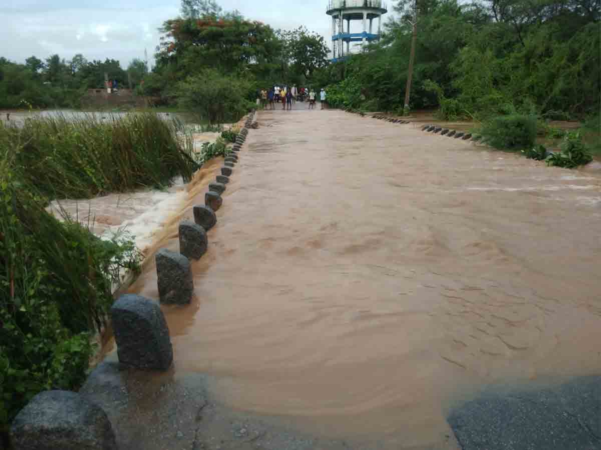 రాష్ట్రవ్యాప్తంగా విస్తారంగా వానలు..