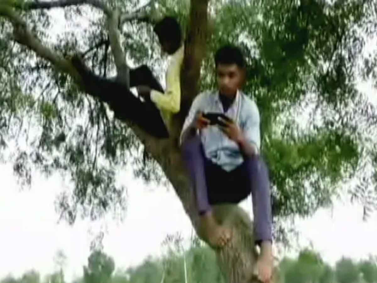 ఆన్‌లైన్‌ క్లాస్‌ కోసం చెట్టెక్కిన విద్యార్థులు