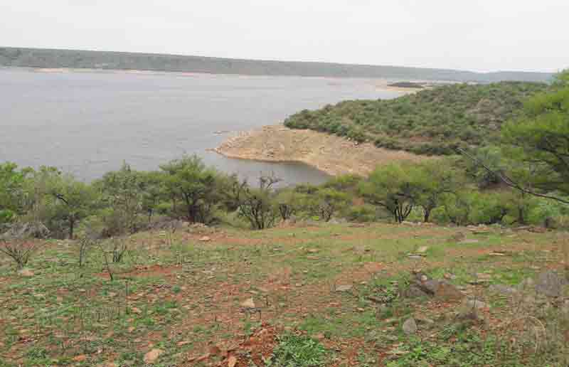 భాగ్యనగరికి సుంకిశాల భరోసా