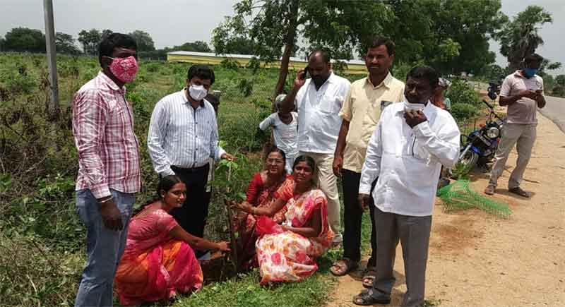ఊరూవాడ ఉత్సాహంగా..