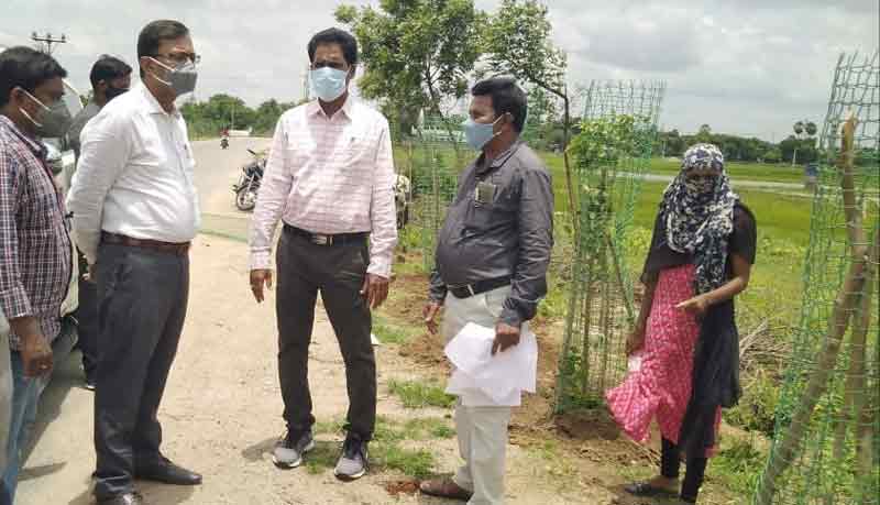 మొక్కలను కంటికి రెప్పలా కాపాడాలి