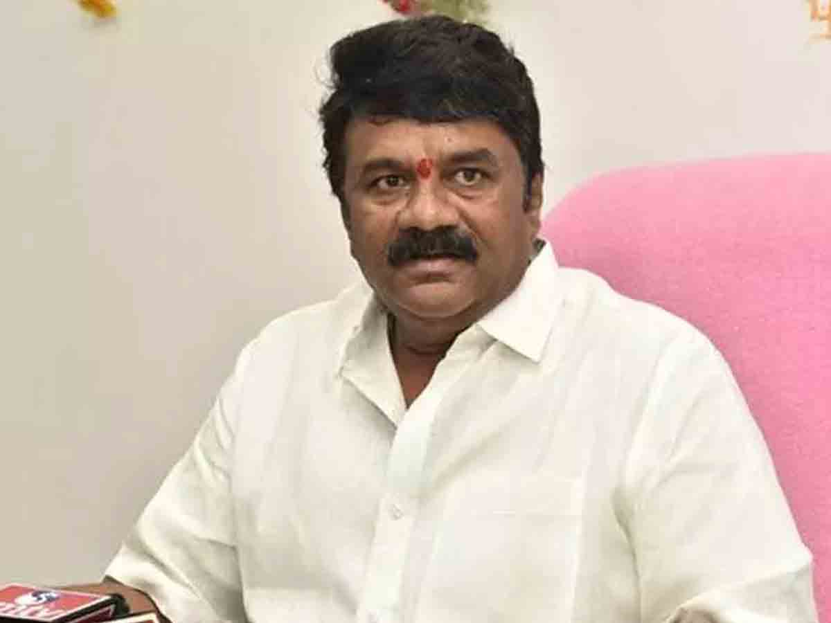 పశుసంవర్థక శాఖకు ప్రత్యేక గుర్తింపు : మంత్రి తలసాని