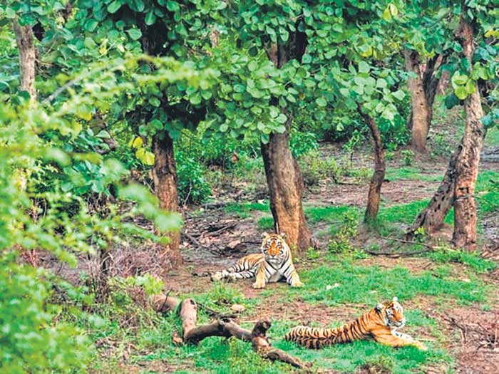 ఓటర్ల రీత్యా దేశంలో అతిపెద్ద నియోజకవర్గం ఏది?