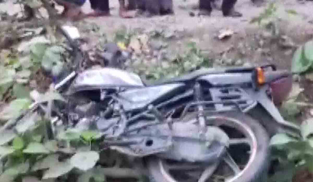 పులి దాడిలో ఇద్దరు యువకులు మృతి