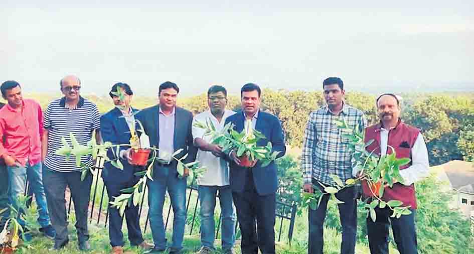 అమెరికాలో కేటీఆర్‌ జన్మదిన వేడుకలు