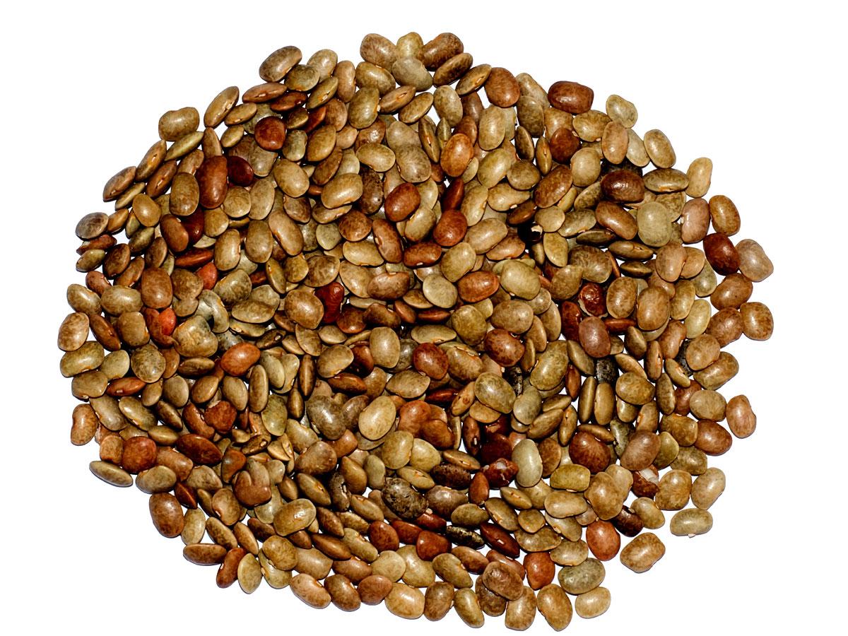 ఎంత పనిచేసినా అలసట రావొద్దంటే వీటిని తినండి..