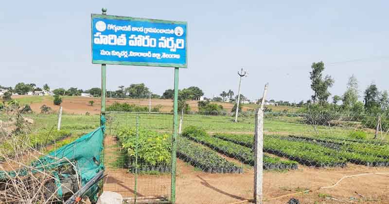 ప్రగతి  దిశగా..