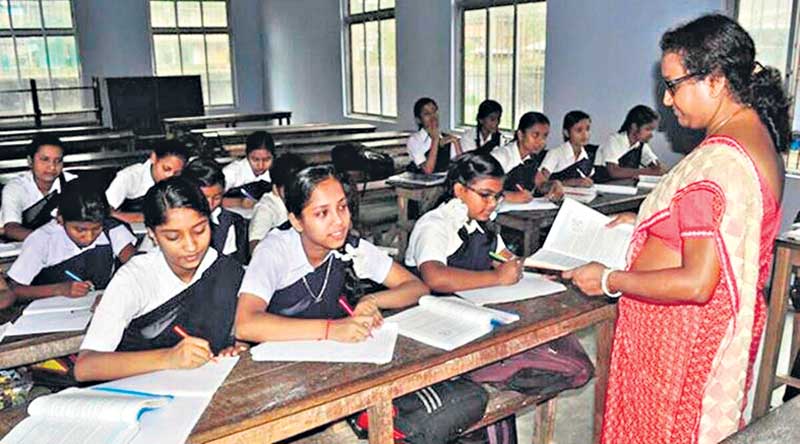 ఏ దశలో బహురూప నిత్యత్వ భావన ఏర్పడుతుంది?