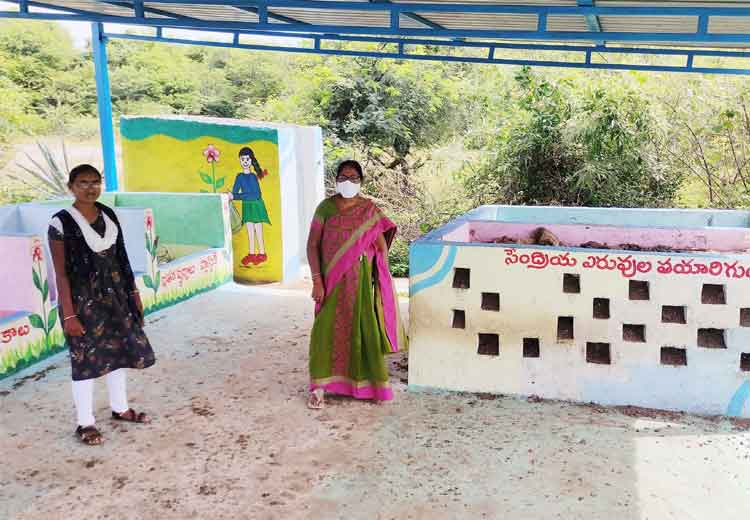 మొక్కల సంరక్షణపై దృష్టి పెట్టాలి