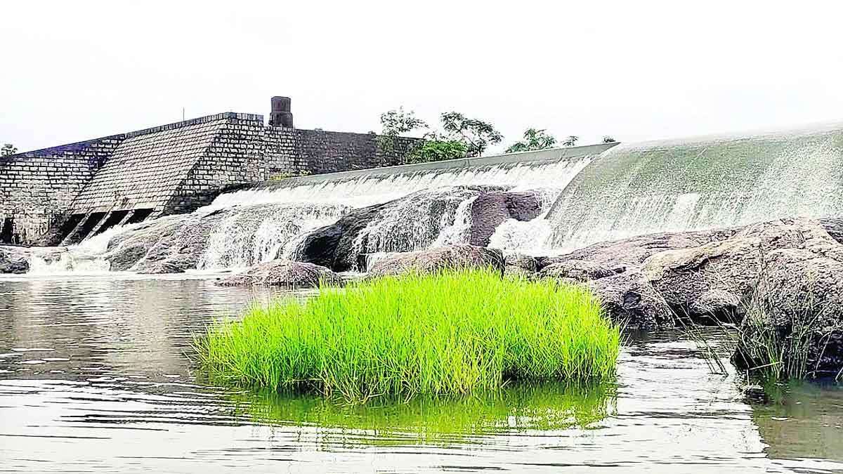 వరదొచ్చే.. వరమిచ్చే..