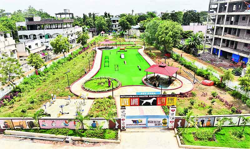 నేస్తానికో  నందనవనం