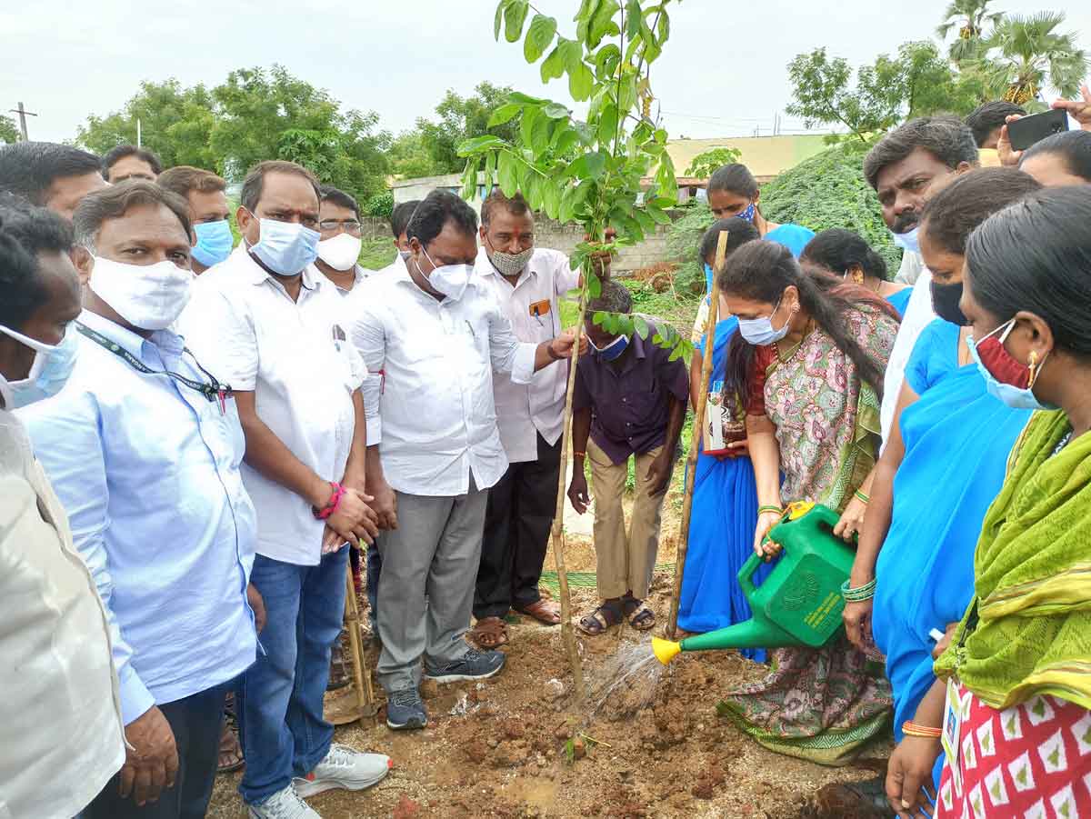 పట్టణ ప్రగతి పనులు ప్రారంభం