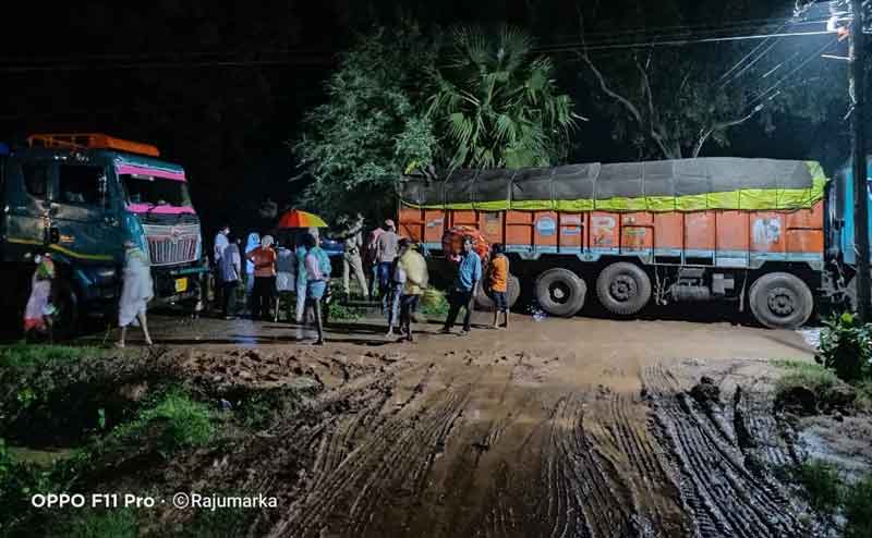 గోశాలకు ఆవుల తరలింపు