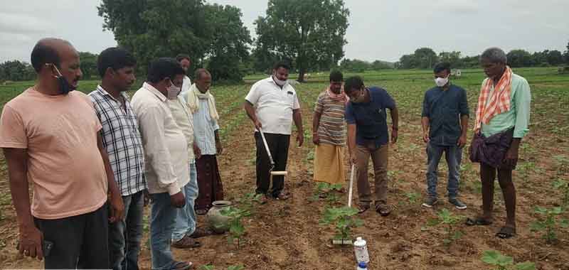 పత్తి సాగుపై రైతులకు అవగాహన