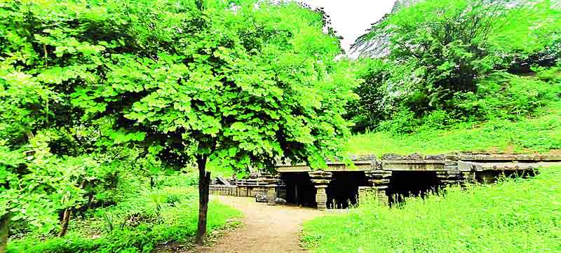 కోటకు పచ్చలహారం