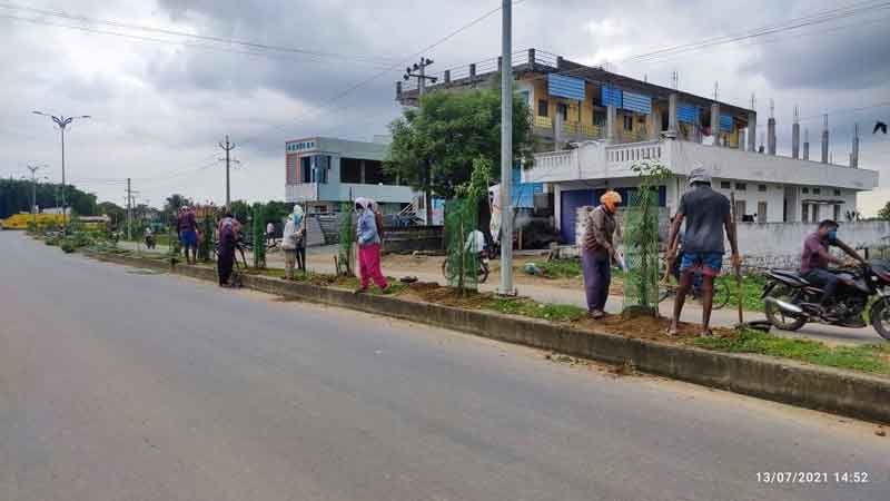 మొక్కలు నాటుదాం..