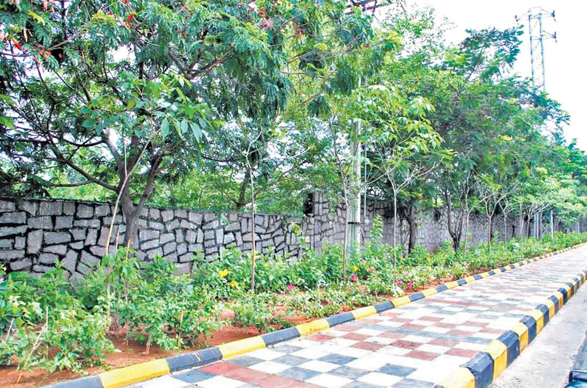 రంగురంగుల రహదారులు