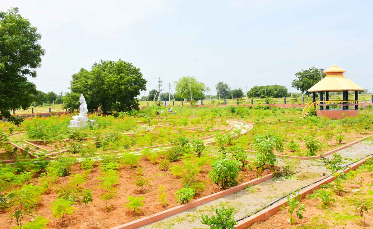 బృహత్‌  వన సంకల్పం