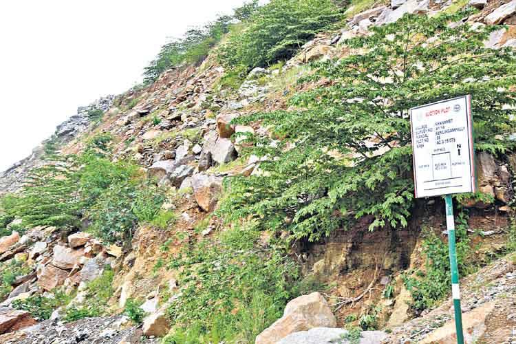 ఖానామెట్‌ హాట్‌ కేక్‌