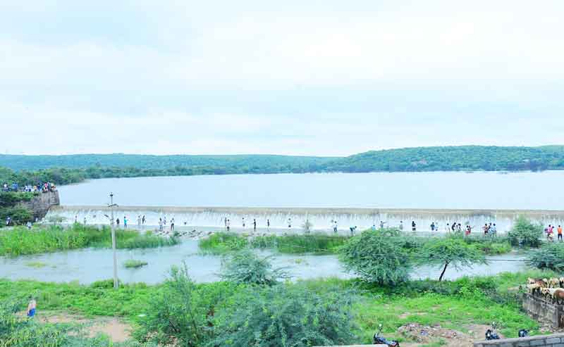 జోరువాన