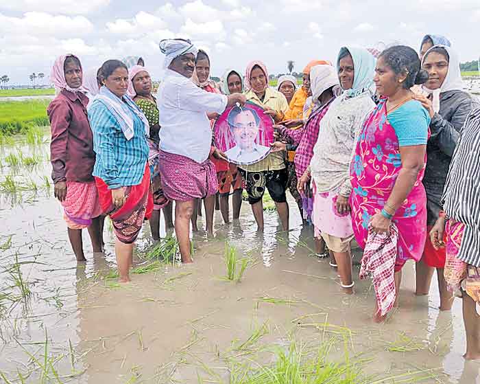 సీఎం కేసీఆర్‌తోనే పండుగలా వ్యవసాయం