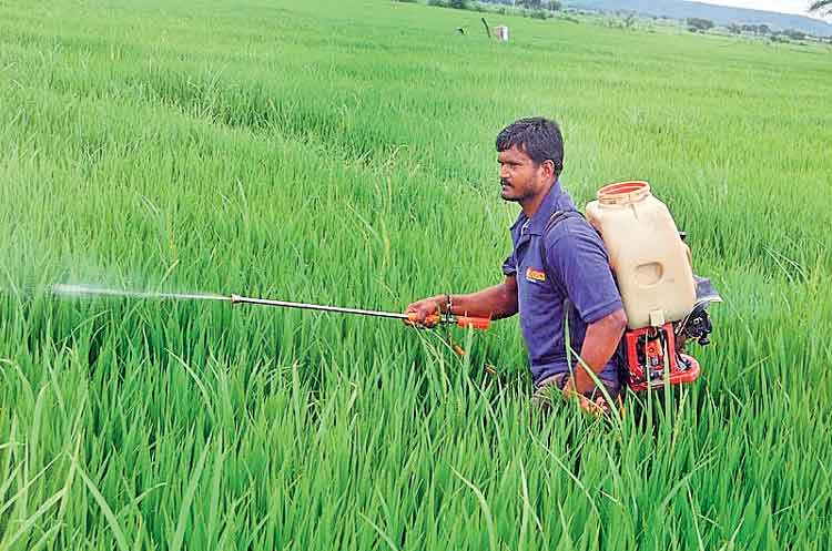 తెలియని మందులు వాడొద్దు