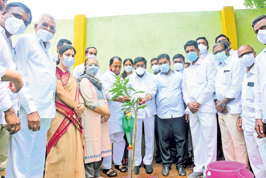 హరితహారంతో నాలుగు శాతం పెరిగిన అడవులు