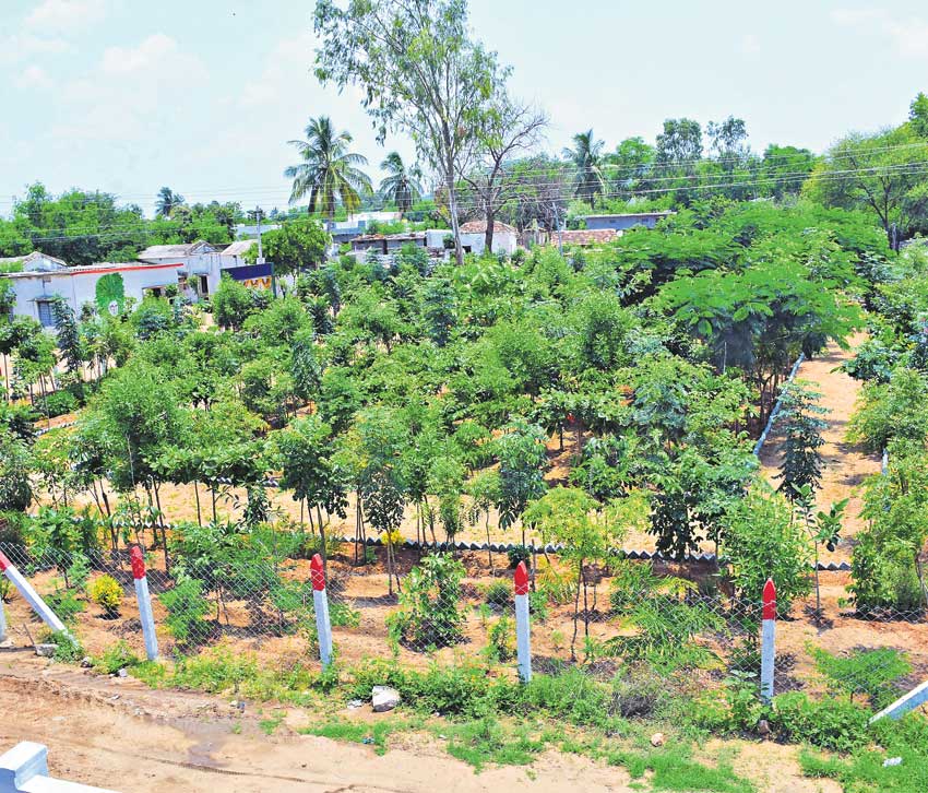 ‘పల్లె ప్రగతి’తో మారిపోయిన పల్లెల ముఖచిత్రం