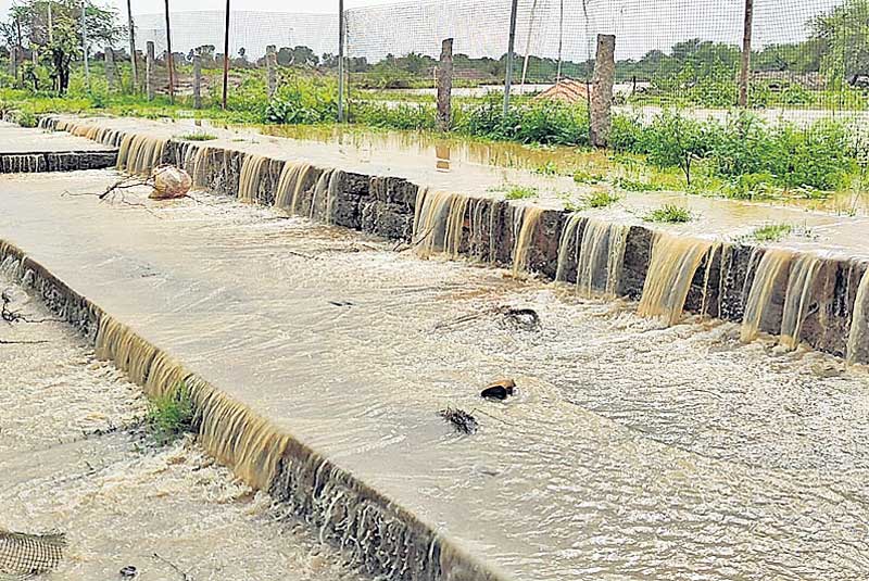 ముసురేసింది..