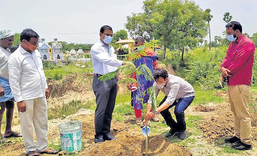 ప్రతిఒక్కరూ విరివిగా మొక్కలు నాటాలి