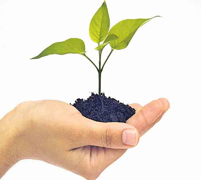 మనమవ్వాలి వనమాలి