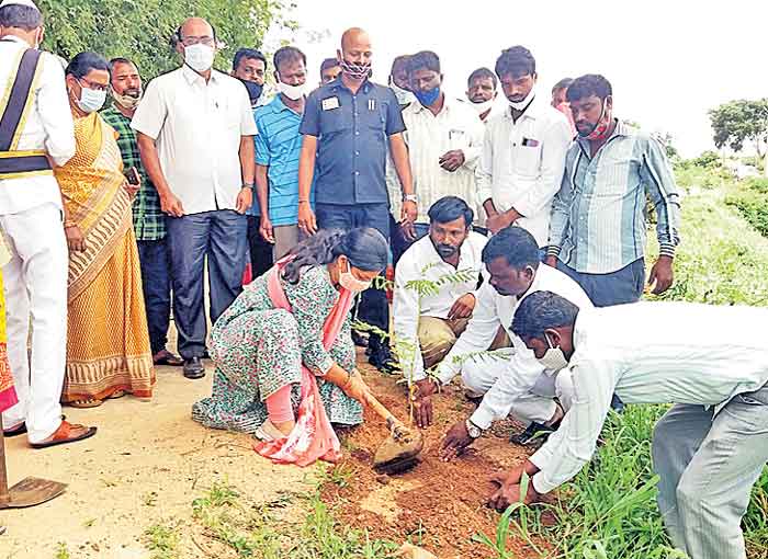 పారిశుధ్యంపై ప్రత్యేక శ్రద్ధ చూపాలి