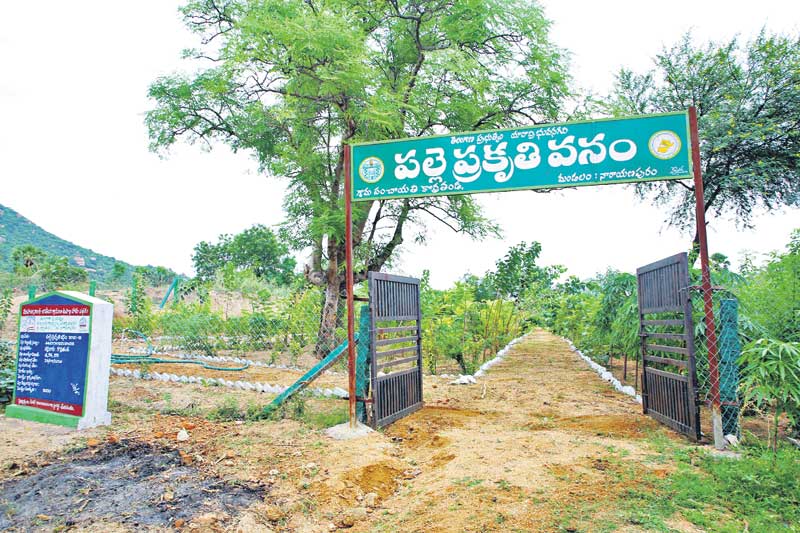 ప్రగతి శిఖరాన కొర్రతండా