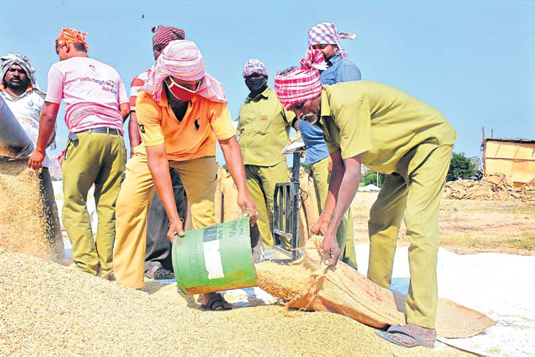 ధాన్యం కొనుగోళ్లలో రికార్డు