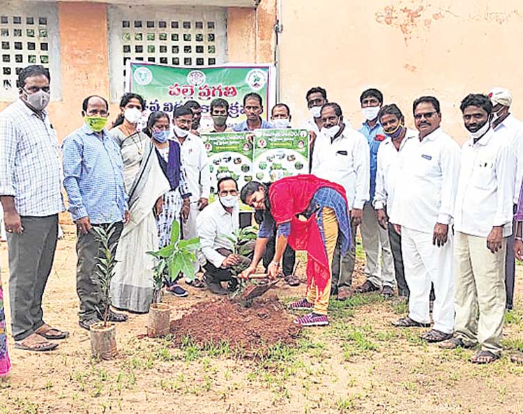 నాటిన మొక్కలను సంరక్షించుకోవాలి