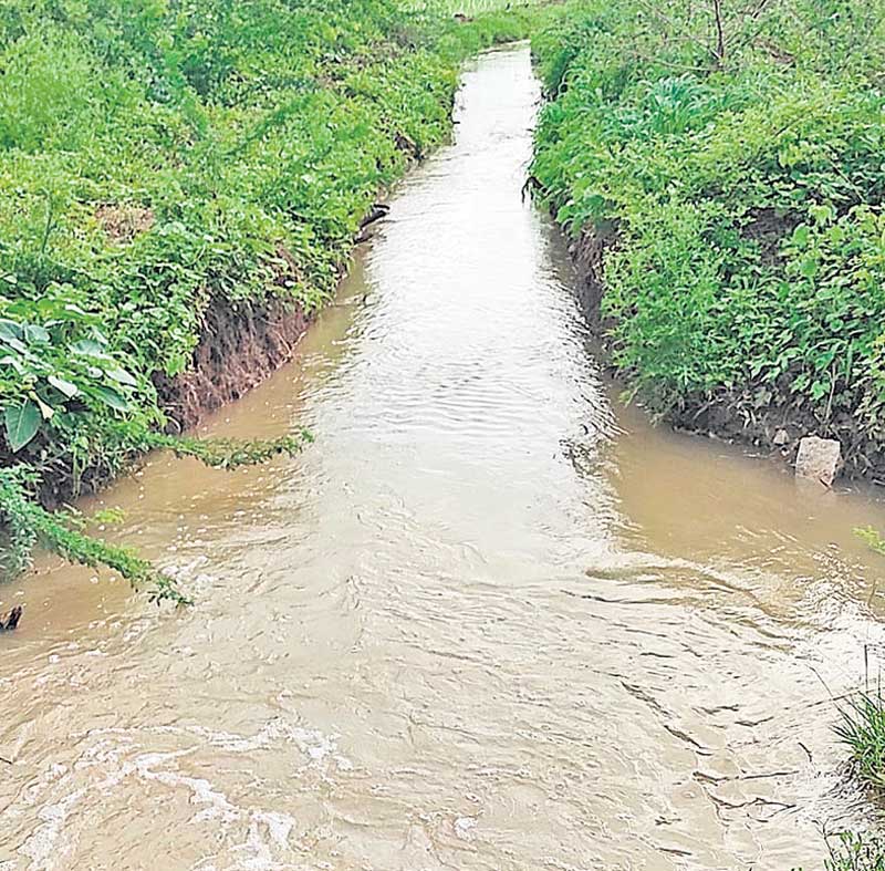 సంస్థాన్‌నారాయణపురం మండలంలో అత్యధికంగా 36.2 మీమీ