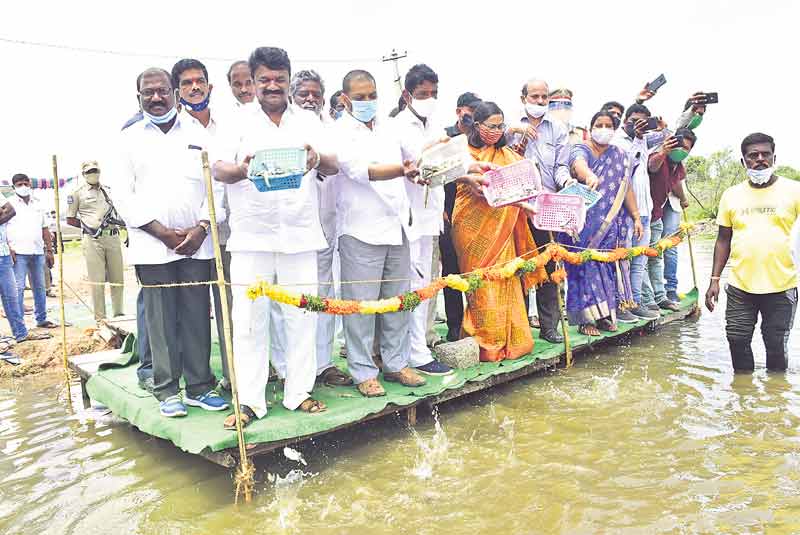 నీలి విప్లవం