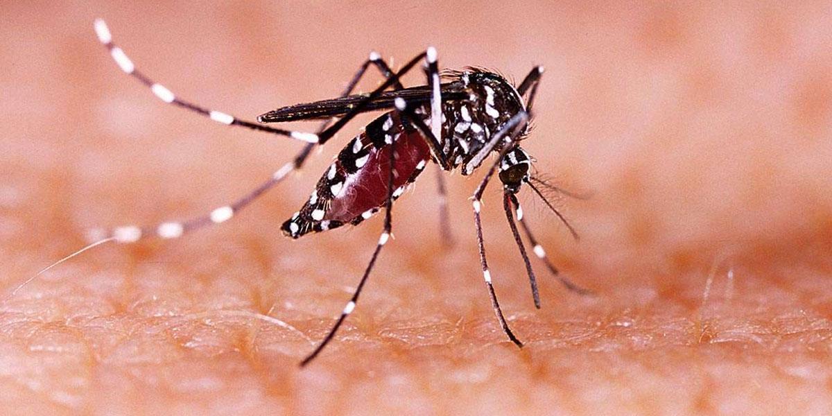 కేర‌ళ‌లో ఓ ప్రైవేటు వైద్యుడికి జికా వైర‌స్‌